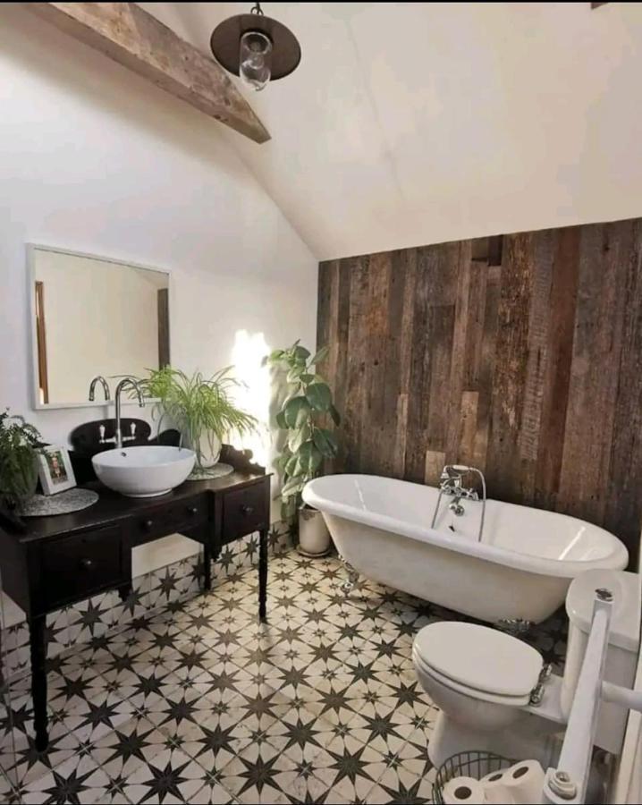The Carton Store Loft Apt Apartment Корк Екстериор снимка