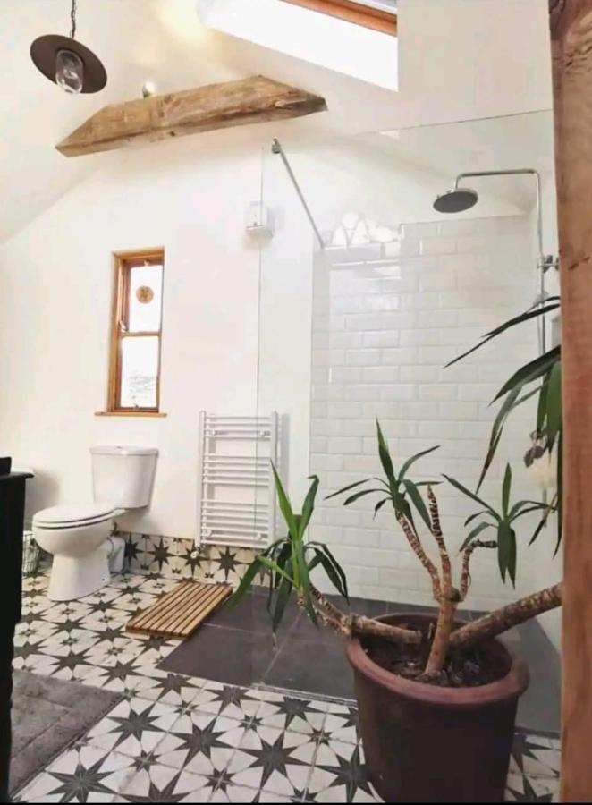 The Carton Store Loft Apt Apartment Корк Екстериор снимка